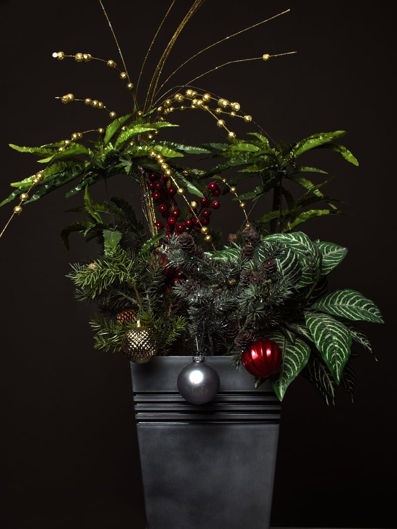 Indoor Plant Arrangements