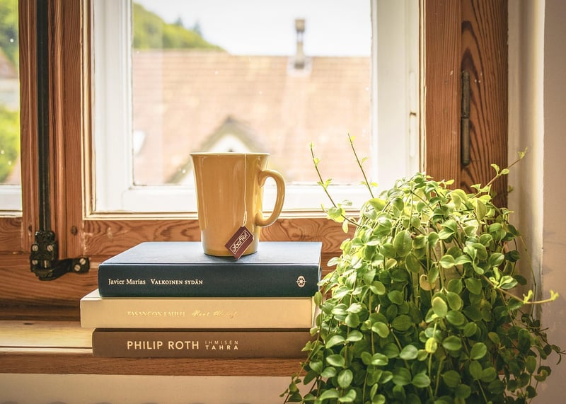 Windowsill Garden